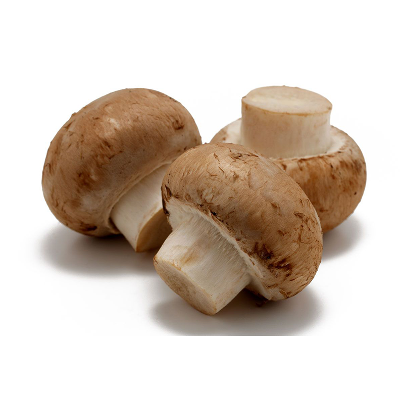 champignon marron